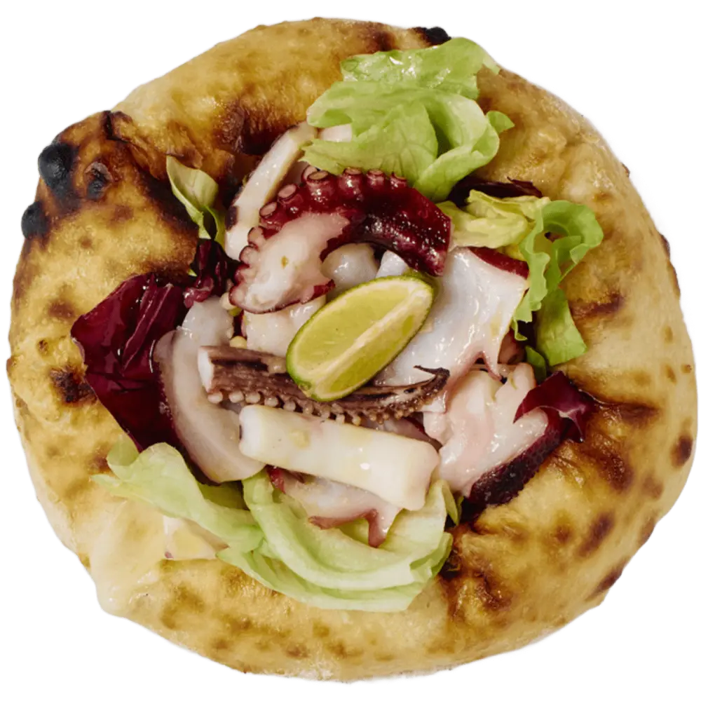 富山県産 タコとイカ